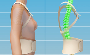 Active Posture Magnetic Plus